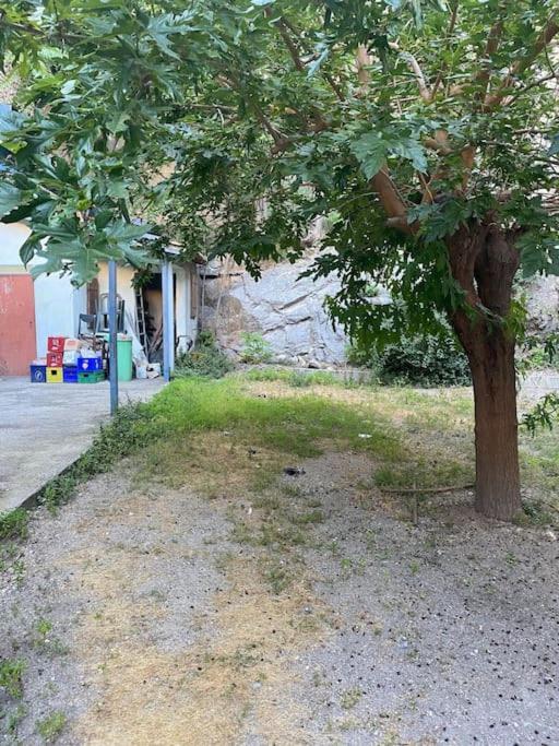 Appt 4 Pers Avec Jardin Ombrage En Centre Ville De Sète Kültér fotó