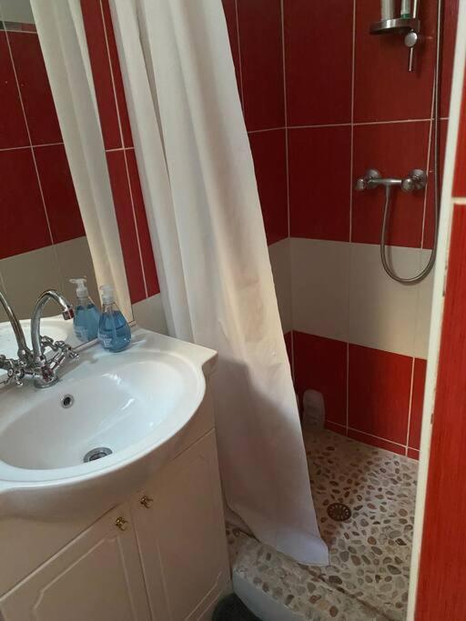 Appt 4 Pers Avec Jardin Ombrage En Centre Ville De Sète Kültér fotó